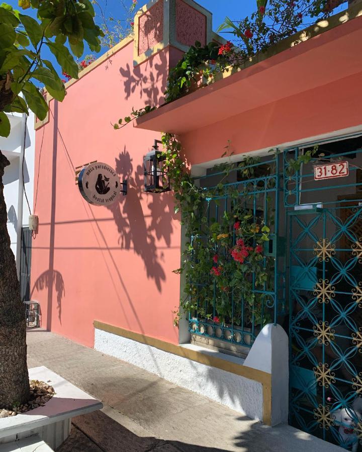 Hostel Musa Paradisiaca Santa Marta (Magdalena) Exterior foto