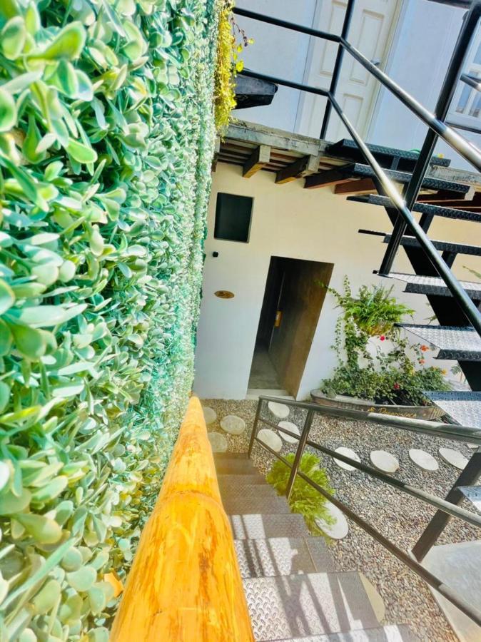 Hostel Musa Paradisiaca Santa Marta (Magdalena) Exterior foto